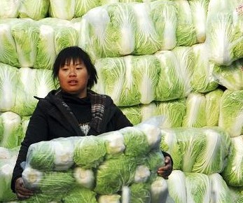 食堂蔬菜,食堂蔬菜來(lái)源,食堂蔬菜質(zhì)量,食堂蔬菜品質(zhì)